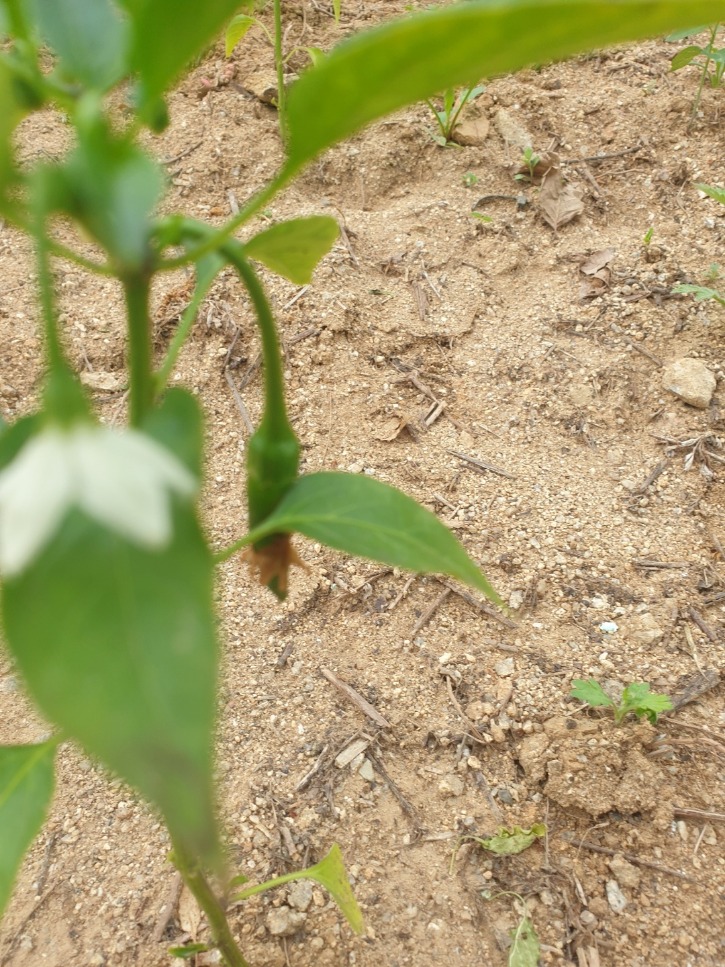 KakaoTalk_20220609_134629636_14.jpg