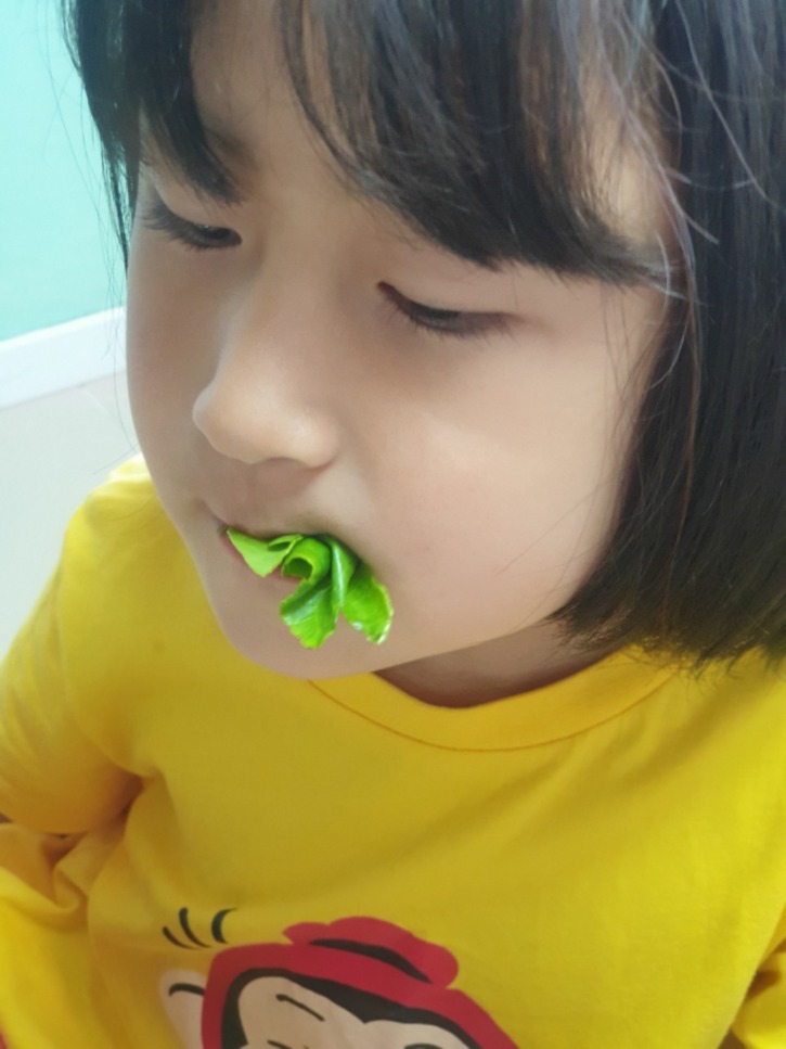KakaoTalk_20220609_134629636_18.jpg