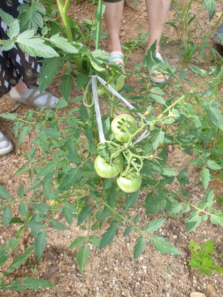 KakaoTalk_20220707_085559674_05.jpg